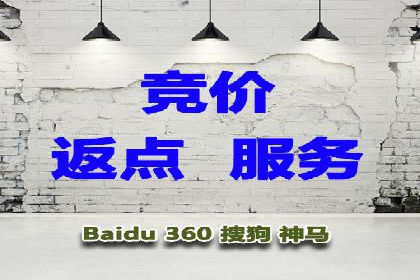 SEM竞价推广案例：打造行业领先的广告投放策略
